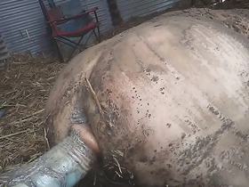 Dirty farmboy jubilant porn chinese master white slave