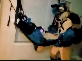 Furry tied up and fucked hairy japan gay porn