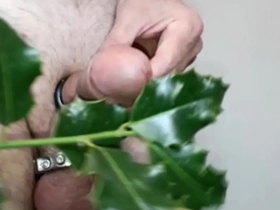 Holly for a christmas cock gay white chinese porn