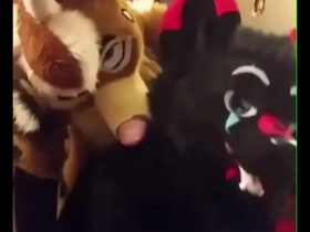 Fursuiters fuck in bathroom while bottom moans loudly gay porn jerk off asian