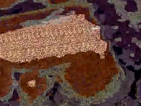 Dick videotape well-pleased chinese porn rio