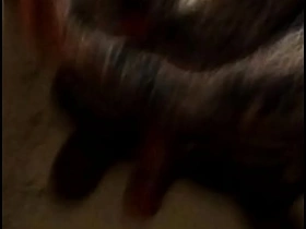 JAPANESE Unladylike chinese on boys gay porn videos