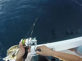 Japanese elated  fishing free elated asian porn